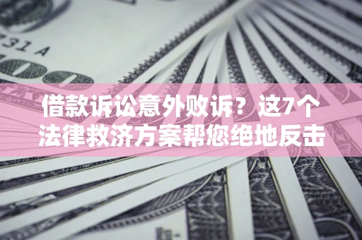 武汉借款诉讼意外败诉？这7个法律救济方案帮您绝地反击！