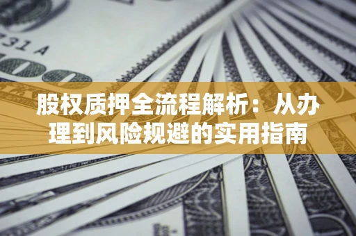 武汉股权质押全流程解析：从办理到风险规避的实用指南
