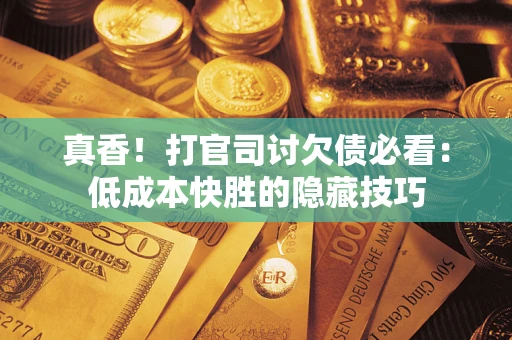 武汉真香！打官司讨欠债必看：低成本快胜的隐藏技巧