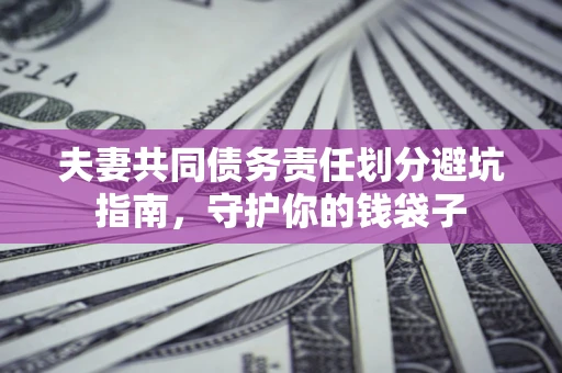 武汉夫妻共同债务责任划分避坑指南，守护你的钱袋子