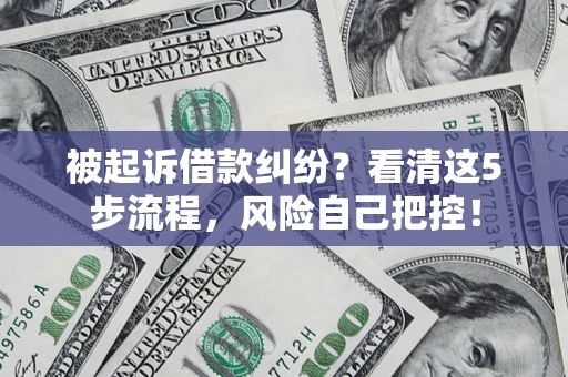 武汉被起诉借款纠纷？看清这5步流程，风险自己把控！