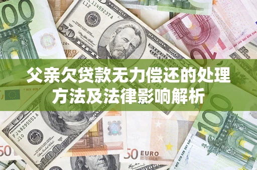 武汉父亲欠贷款无力偿还的处理方法及法律影响解析